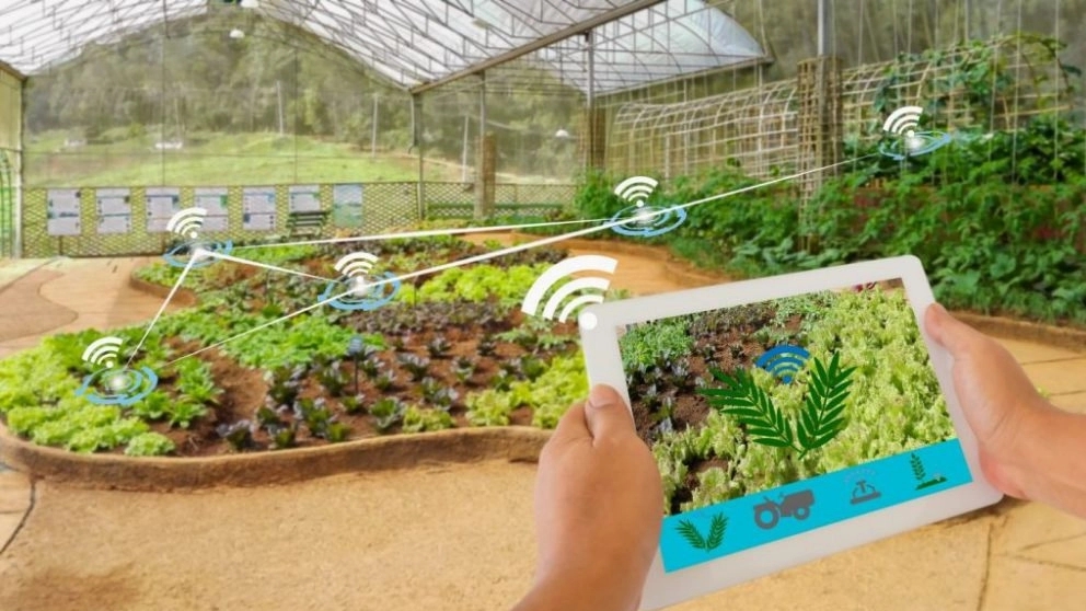 How to make the greenhouse smart?