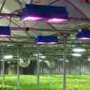 کارگزاری و اجرا برق کارخانجات و گلخانه ها نجف آباد اصفهان